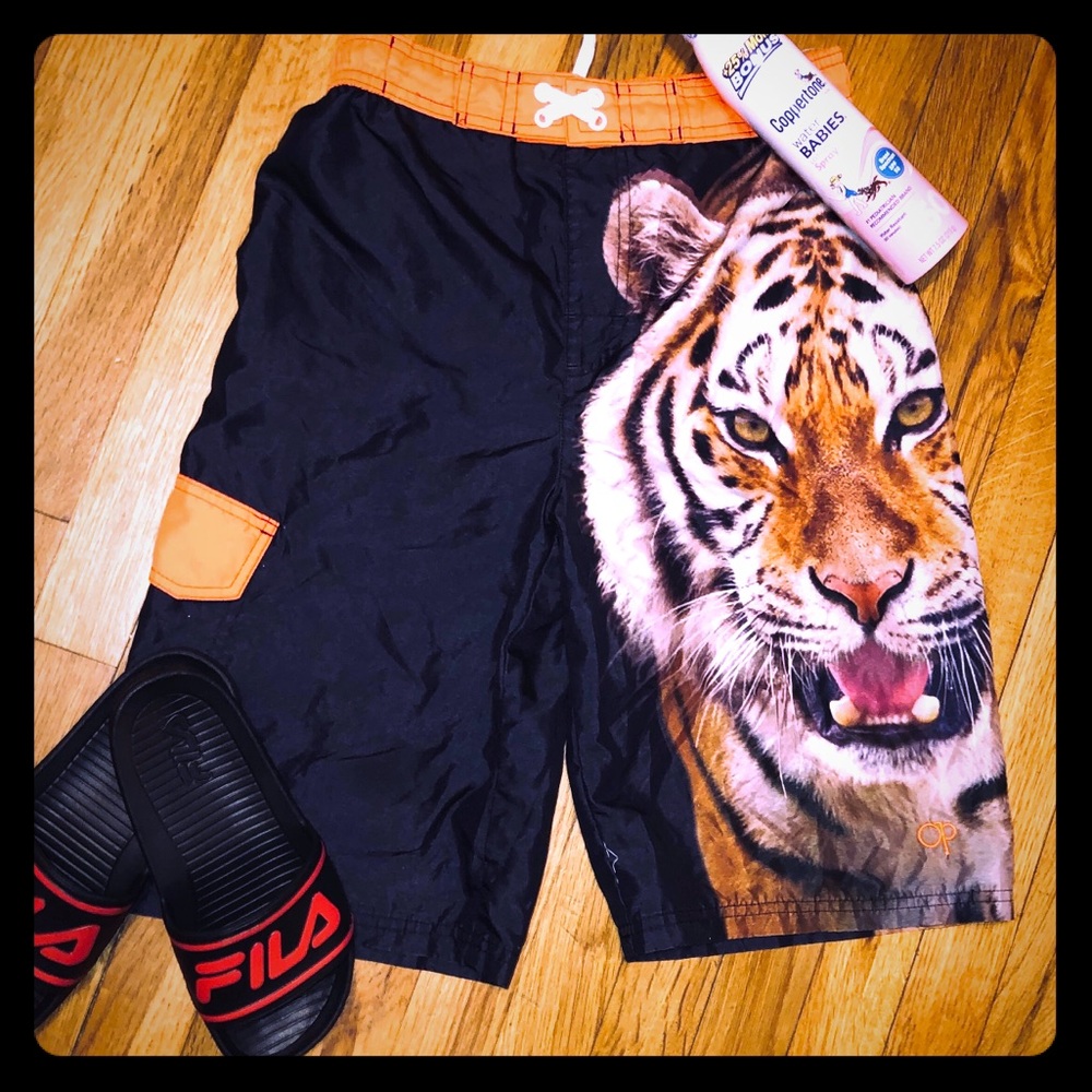 Boys Bathing Suit (14/16)